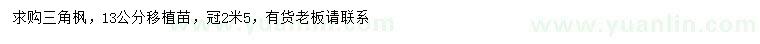 求購13公分三角楓移植苗