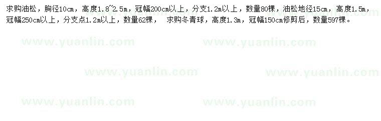 求購(gòu)胸徑10、15公分油松、冬青球