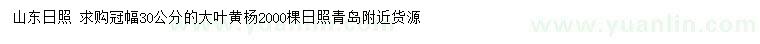 求購冠幅30公分大葉黃楊