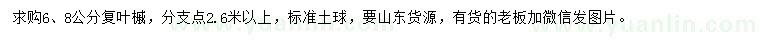 求購6、8公分復(fù)葉槭