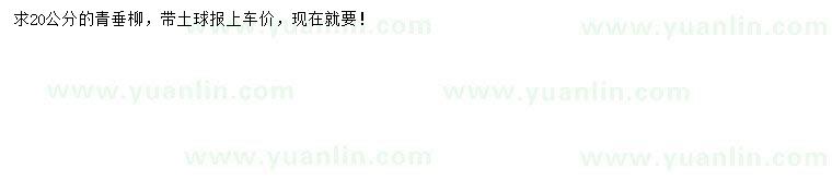 求購(gòu)20公分青垂柳