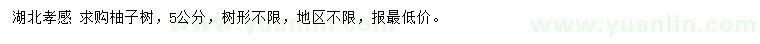 求購5公分柚子樹