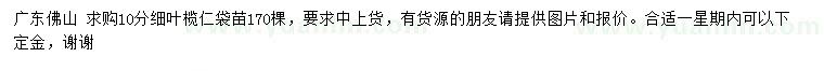 求購10公分細(xì)葉欖仁