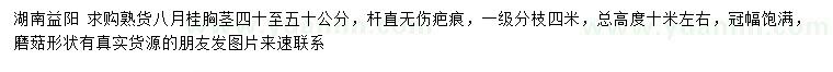 求購(gòu)胸徑40-50公分八月桂
