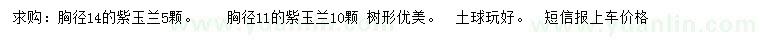 求購胸徑11、14公分紫玉蘭 