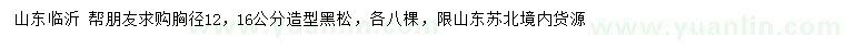 求購胸徑12、16公分造型黑松