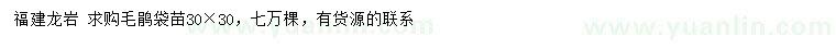 求購30*30毛鵑袋苗