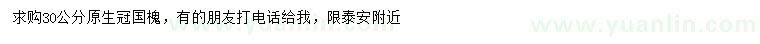 求購30公分原生冠國槐