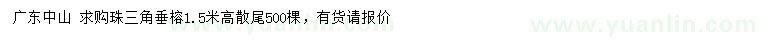 求購高1.5米垂榕