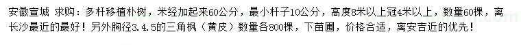 求購高度8米多桿移植樸樹、胸徑3、4、5公分三角楓