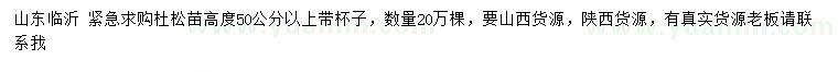求購高度50公分以上杜松苗