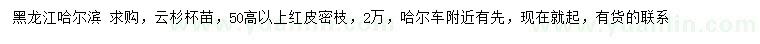 求購高50公分以上云杉苗