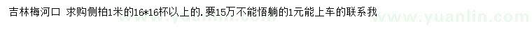 求購1米側(cè)柏
