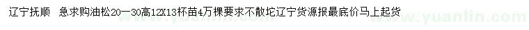 求購高度20-30公分油松