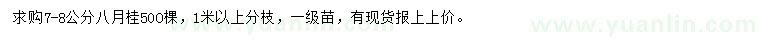 求購(gòu)7-8公分八月桂