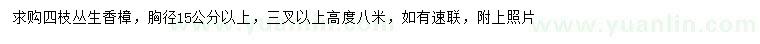 求購胸徑15公分以上叢生香樟