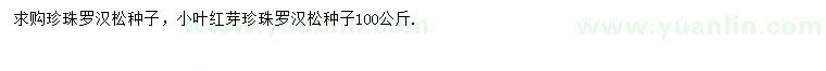 求購珍珠羅漢松種子、小葉紅芽珍珠羅漢松種子