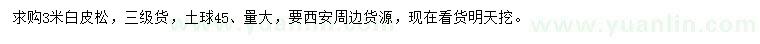 求購(gòu)3米白皮松