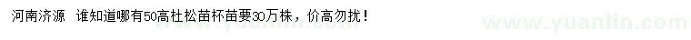 求購高50公分杜松苗