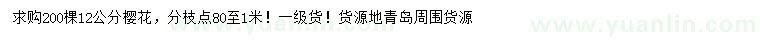 求購12公分櫻花