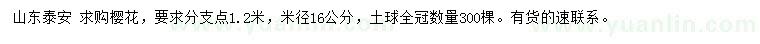 求購米徑16公分櫻花