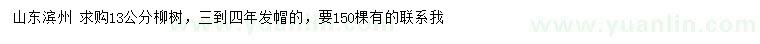 求購13公分柳樹
