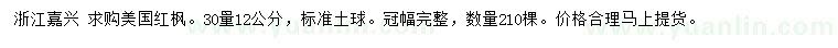 求購30量12公分美國紅楓