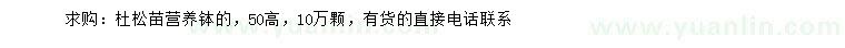 求購高50公分杜松苗