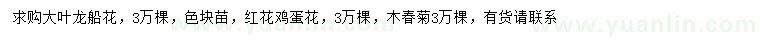 求購大葉龍船花、紅花雞蛋花、木春菊