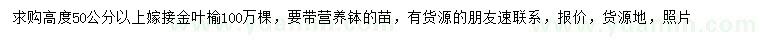 求購高度50公分以上嫁接金葉榆