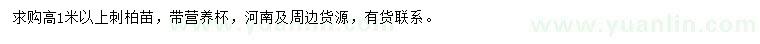 求購(gòu)高1米以上刺柏苗