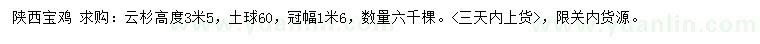 求購(gòu)高度3.5米云杉