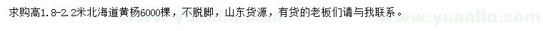 求購(gòu)高1.8-2.2米北海道黃楊