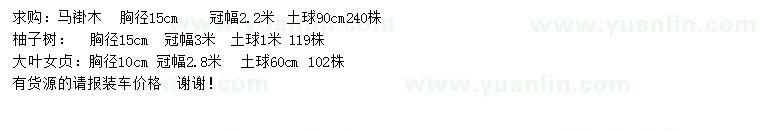 求購馬褂木、柚子樹、大葉女貞