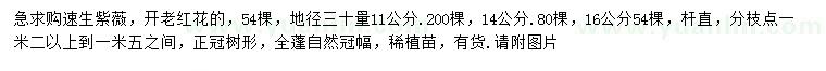 求購地徑30量11、14、16公分速生紫薇