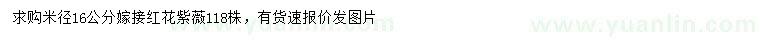 求購米徑16公分嫁接紅花紫薇