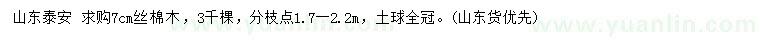 求購7公分絲棉木