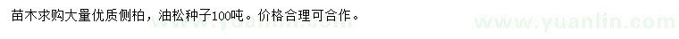 求購側(cè)柏、油松種子