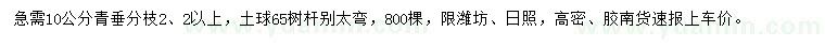 求購(gòu)10公分青垂