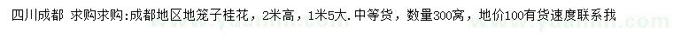 求購高2米桂花