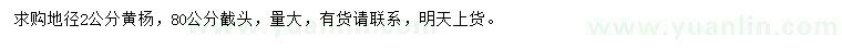求購(gòu)地徑2公分黃楊
