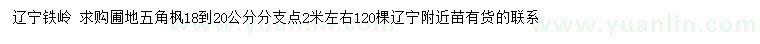 求購18-20公分五角楓