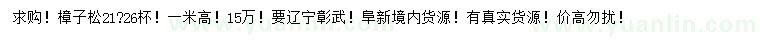 求購高1米樟子松