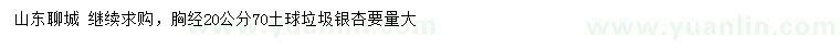 求購胸徑20公分垃圾銀杏