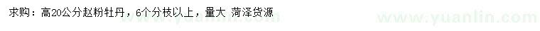 求購高20公分趙粉牡丹