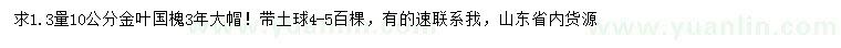求購1.3量10公分金葉國槐