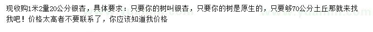 求購1.2米量20公分銀杏