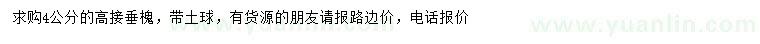求購4公分高接垂槐