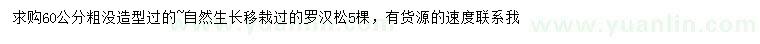 求購(gòu)粗60公分羅漢松