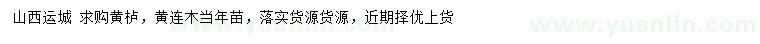 求購黃櫨、黃連木當年苗